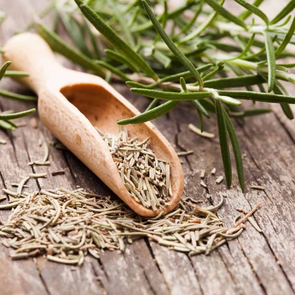 How To Dry Rosemary In 3 Easy Ways