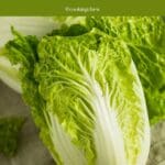 A close-up photo of a head of napa cabbage sitting on top of a white towel on a table.