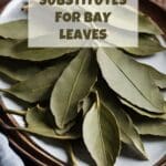 A close-up photo of a white ceramic plate overflowing with dried bay leaves