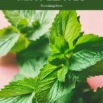 A close-up photo of a bunch of fresh mint leaves on a pink table.