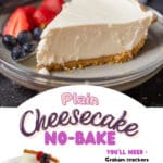 Homemade No Bake Cheesecake Recipes