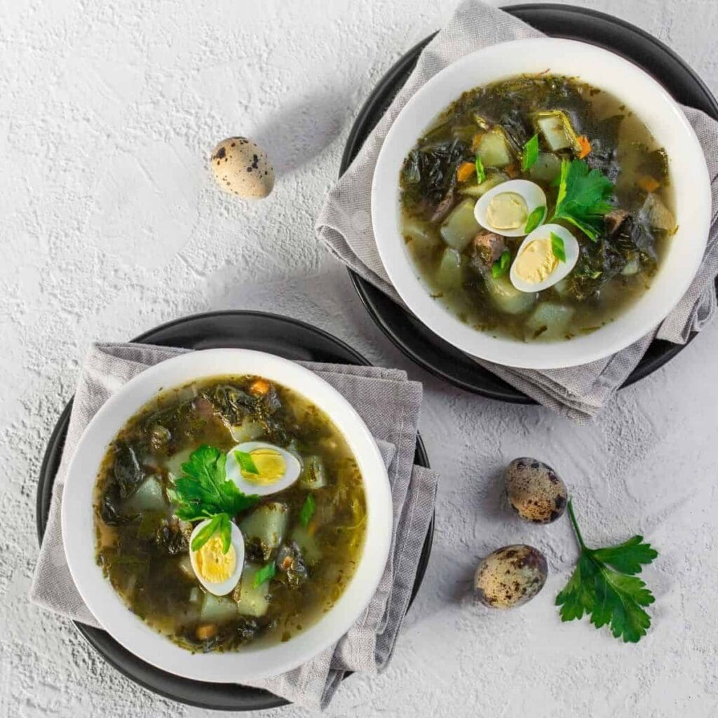 10 Best Russian Soup Recipes
