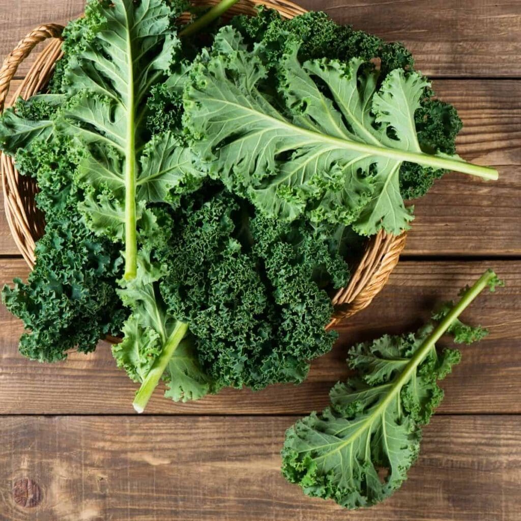 What Is Kale?