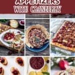 Thanksgiving appetizers with cranberry – easy and festive recipes