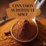 A close-up photo of a heaping wooden spoon filled with cinnamon powder.