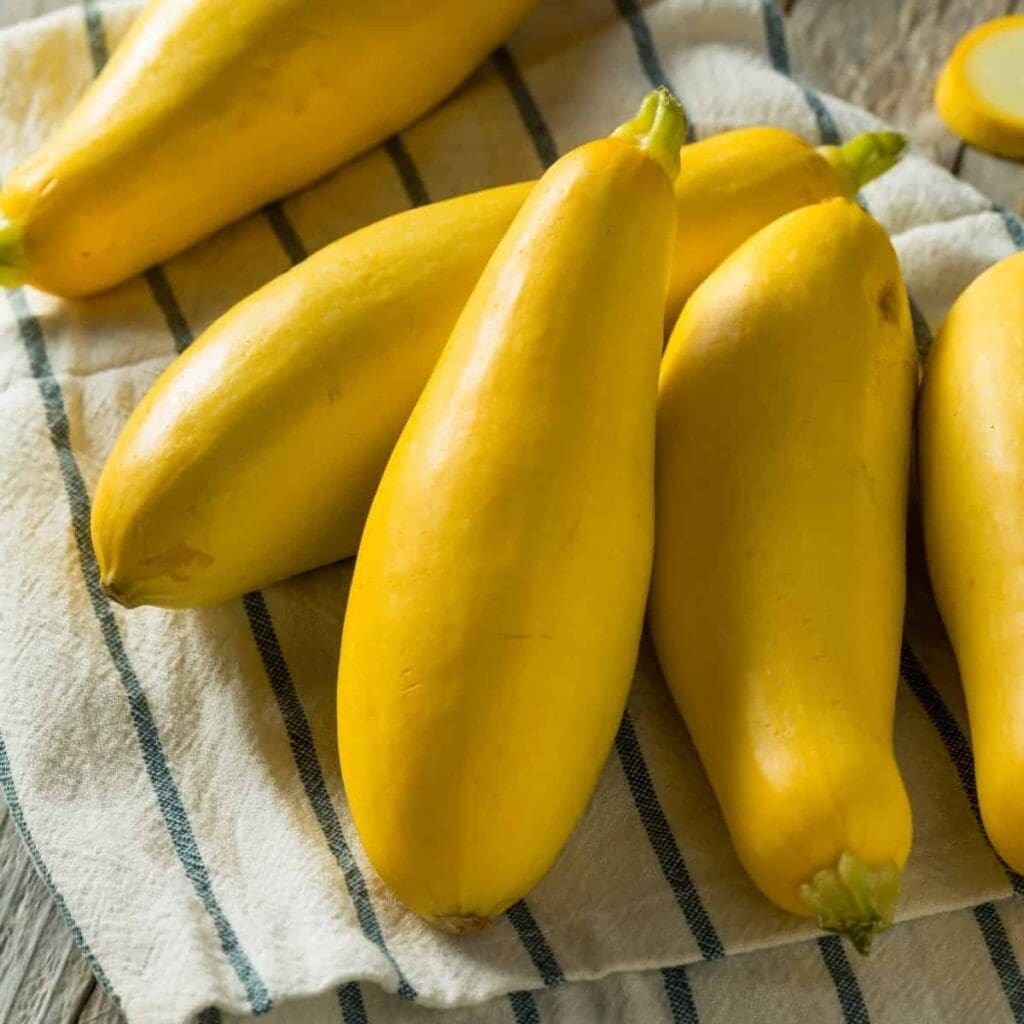 What Is Yellow Squash?