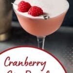 A Cranberry Gin Royale cocktail in a martini glass.