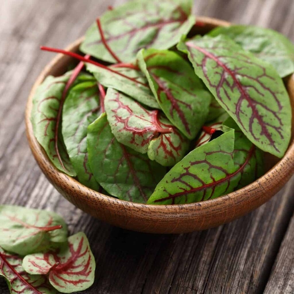 How To Store Beet Greens