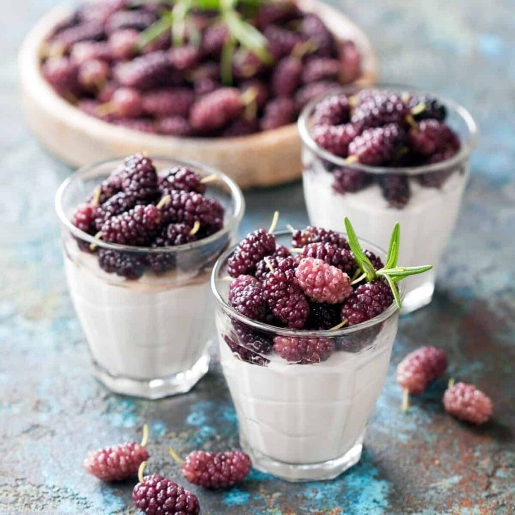 Here We Go ‘Round: 21 Mulberry Recipes For Berry Good Desserts & More!
