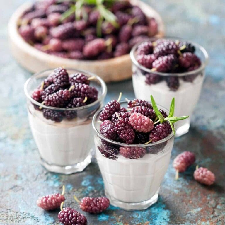 Here We Go ‘Round: 21 Mulberry Recipes For Berry Good Desserts & More!