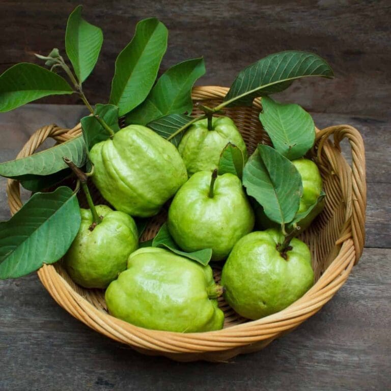 What Does Guava Taste Like? Learn More About This Tropical Fruit