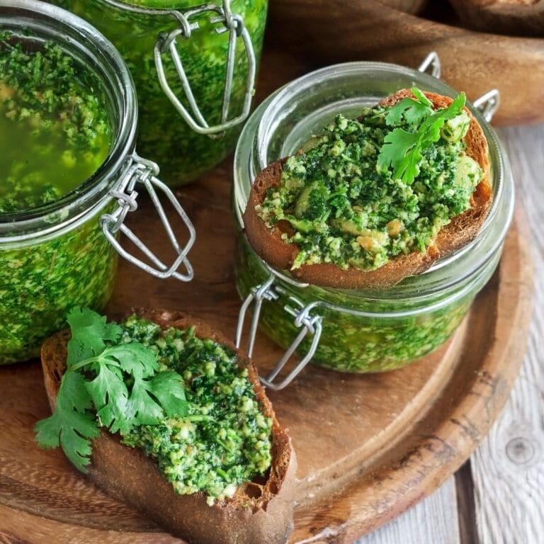 25 BEST Cilantro Recipes: Fresh, Flavorful Dishes