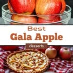 Delicious Gala Apple Desserts Including Apple Crumb Pie and Galette