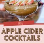 Spiked Warm Apple Cider Cocktail Recipe for Cozy Gatherings