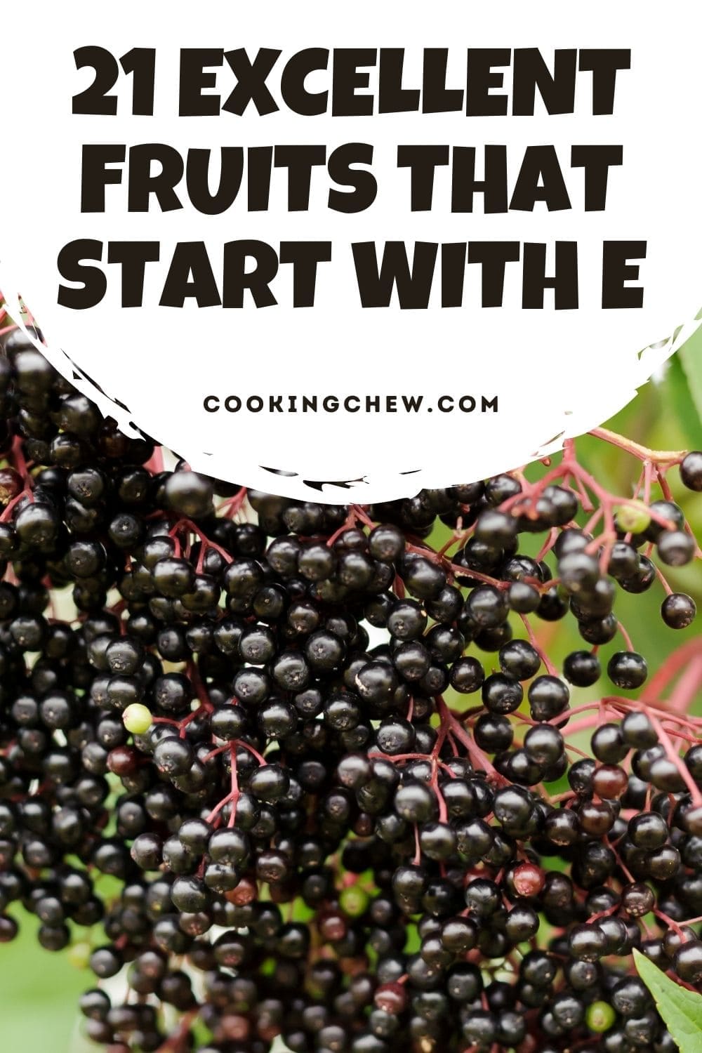 Fruits that start with e