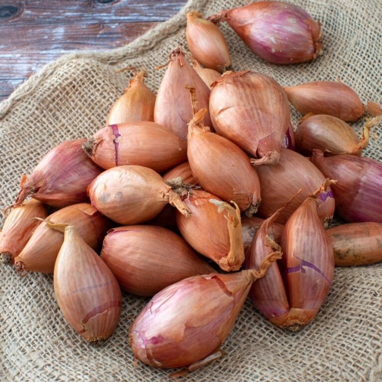 What Are Shallots? Are They A Garlic And Onion Hybrid?