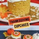 Thanksgiving cupcakes decorated with cute turkey and fall-themed designs.