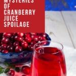 A close-up photo of a glass of cranberry juice with cranberries in a blue clay bow