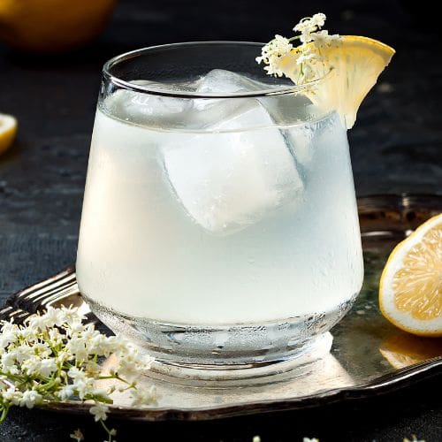 25 Best Elderflower Cocktails 🍸