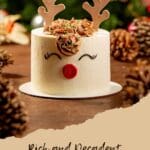 White christmas cake in reindeer shape on a wooden table with pine cones around.