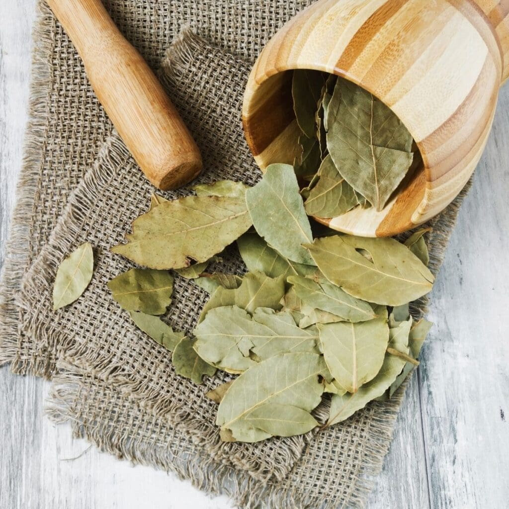 What Are Bay Leaves? Is Bay Leaf An Herb Or A Spice? FAQ + Tips