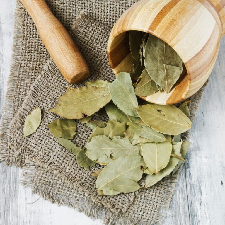 What Are Bay Leaves? Is Bay Leaf An Herb Or A Spice? FAQ + Tips