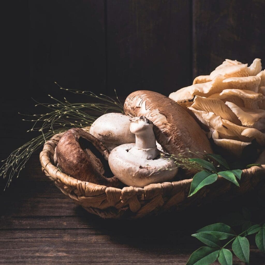 Veg 101: What Are Portobello Mushrooms?