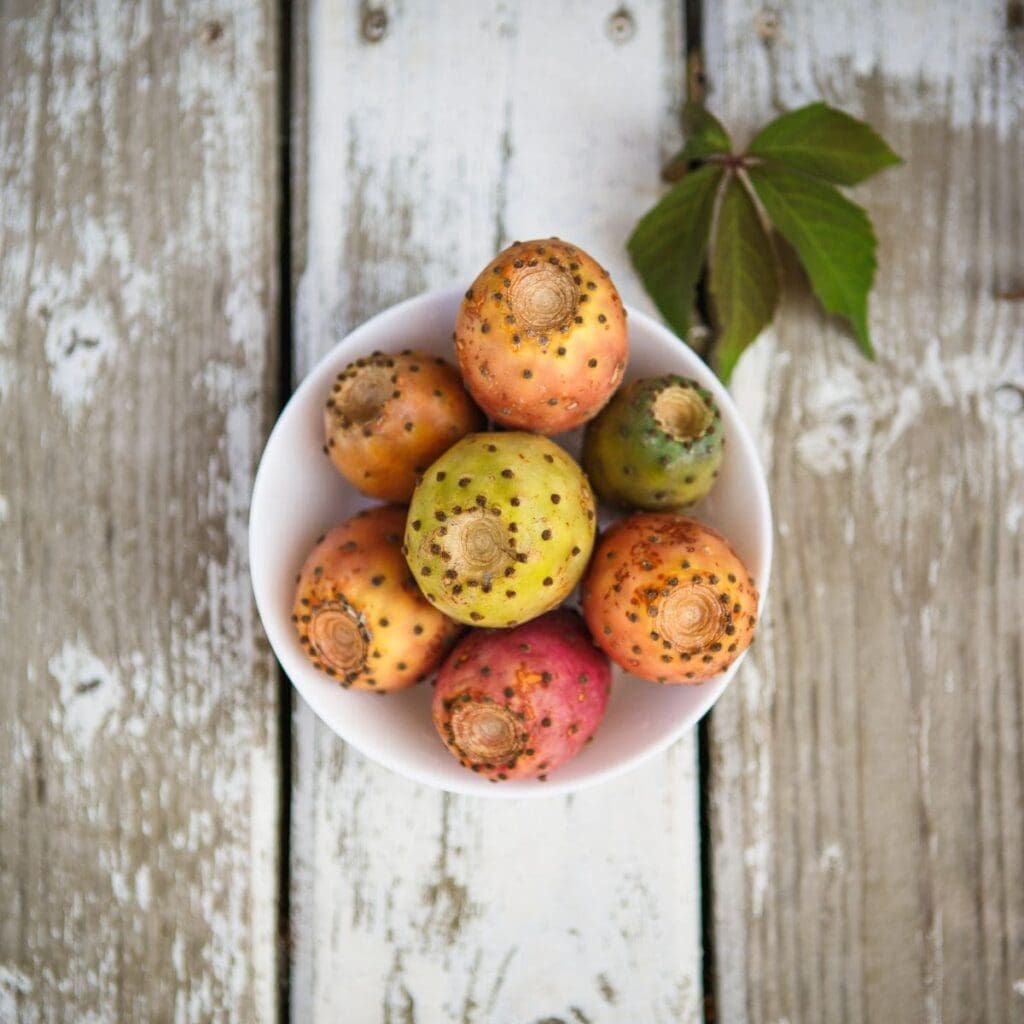 What Is A Prickly Pear? Everything You Need To Know!