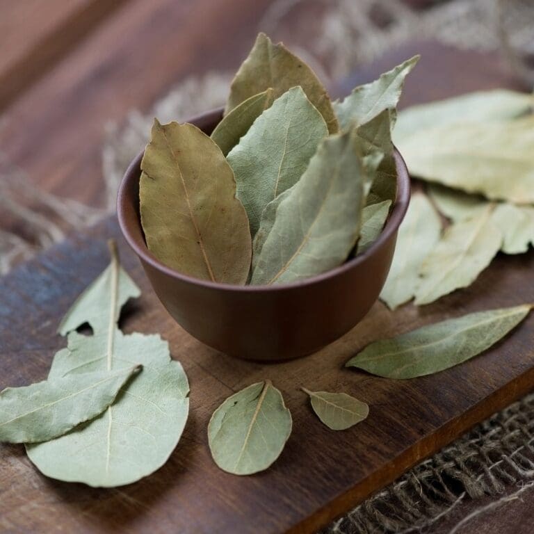 How To Store Bay Leaves