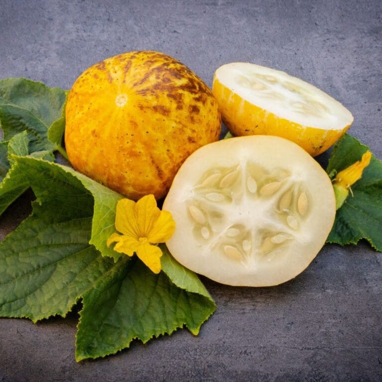 24 Best Lemon Cucumber Recipes | From Soups & Salads To Chutney & Cocktails