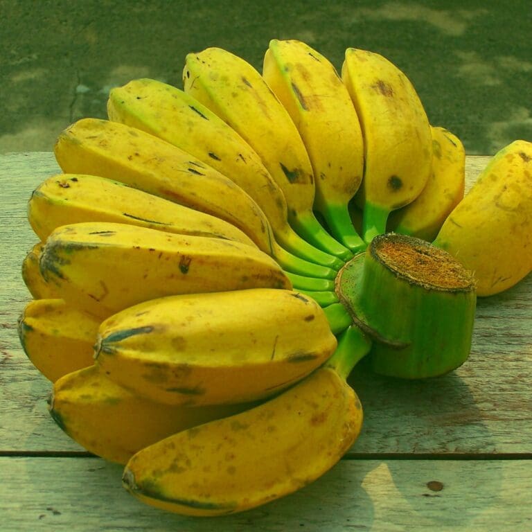 Saba Bananas Substitute: 4 Ideal Substitutes For Saba Bananas