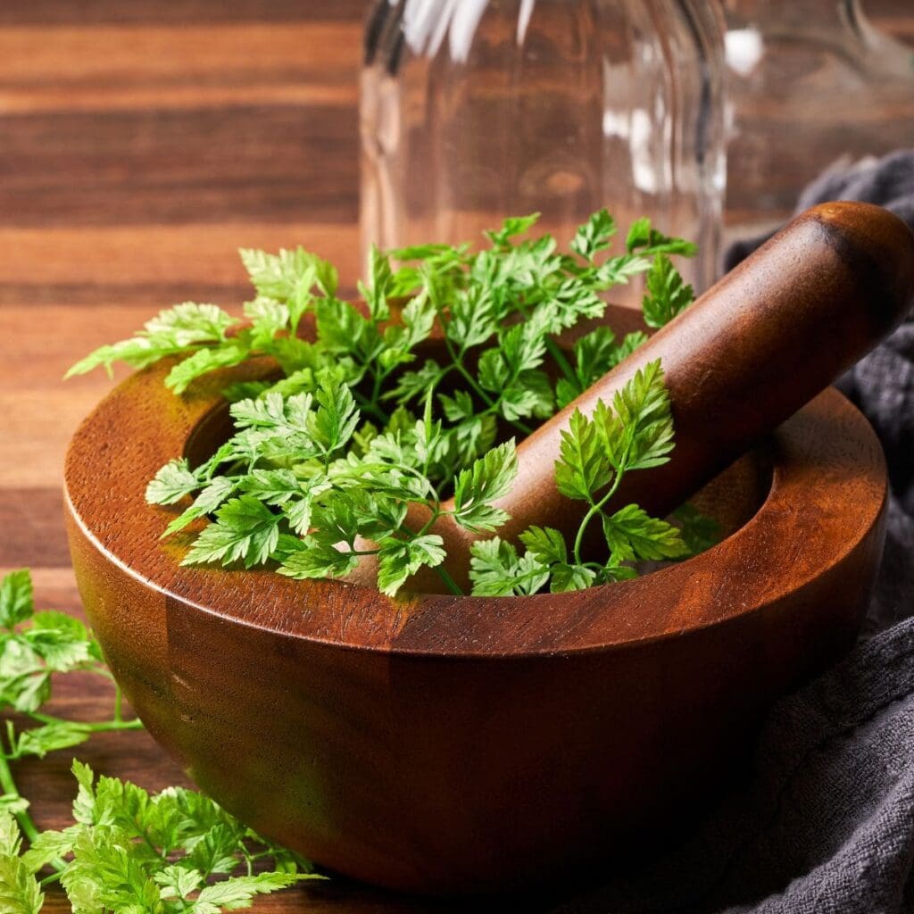 5 Chervil Substitutes + Helpful Ratios