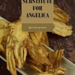 A photo of angelica roots.