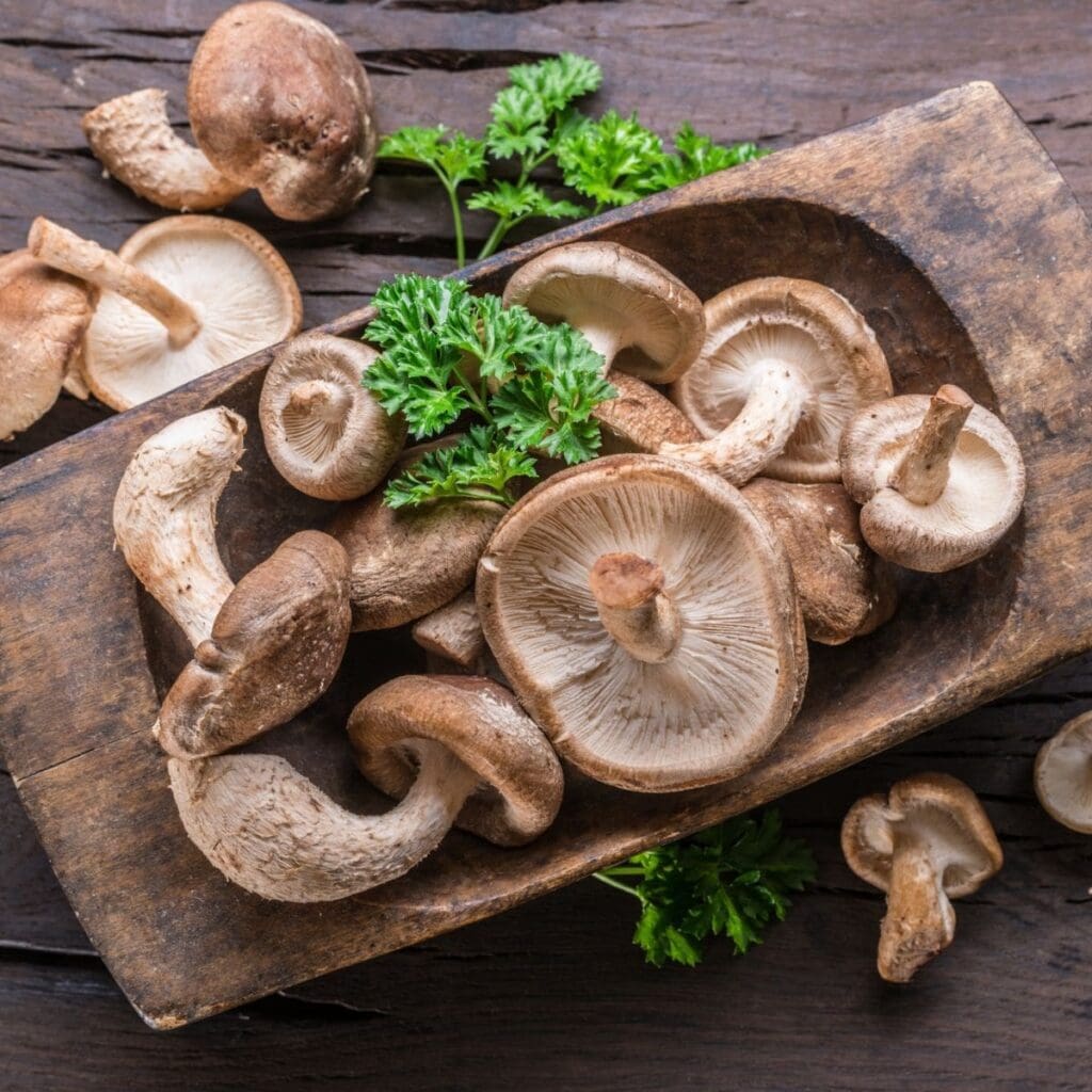 How To Store Shiitake Mushrooms + Tips For Freezing