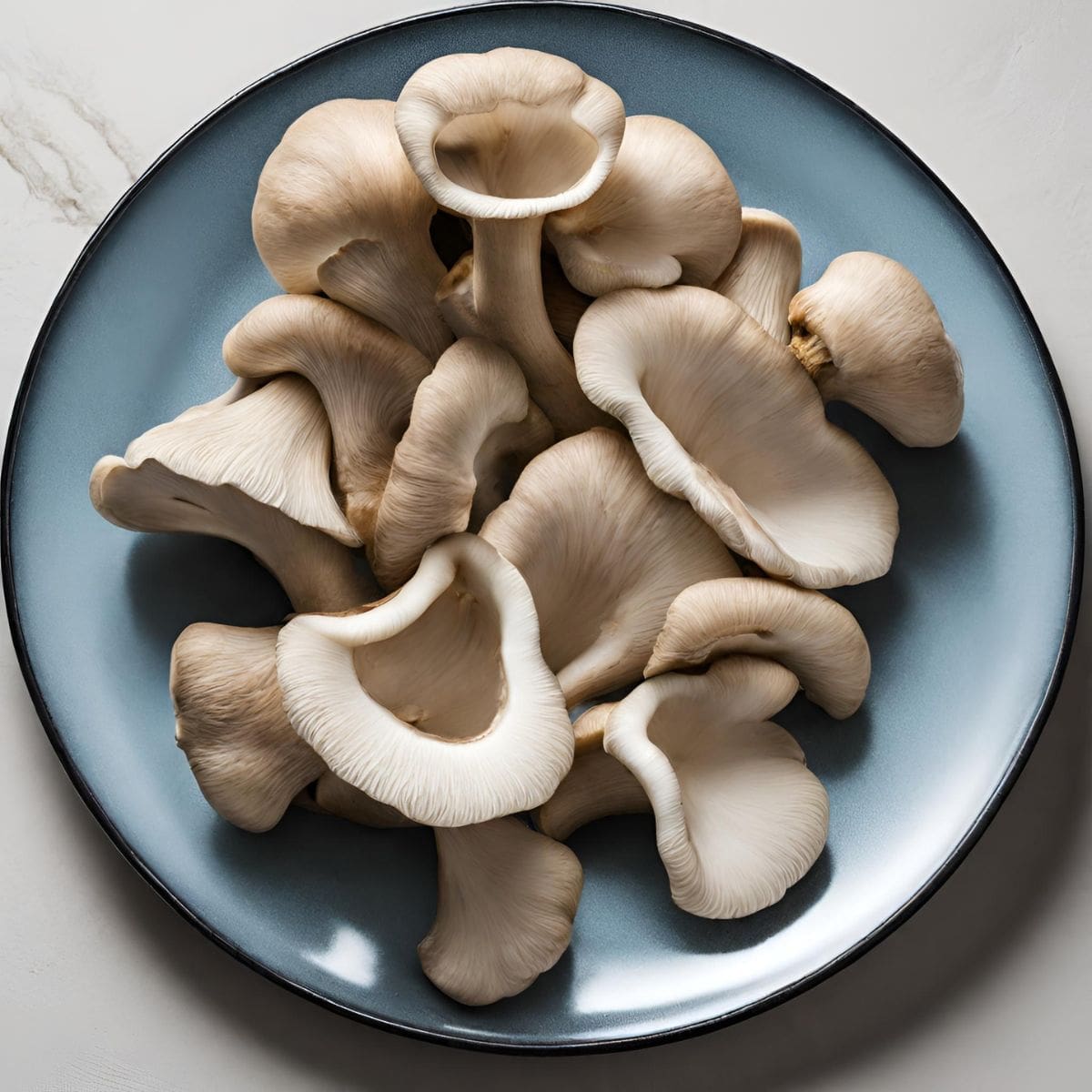 A still life photo of a blue plate with a pile of oyster mushrooms on it.