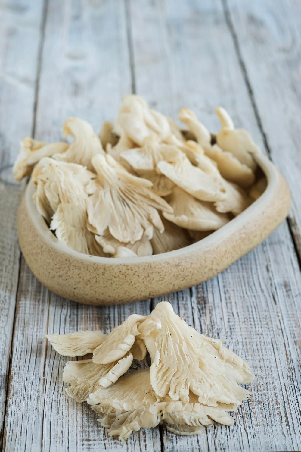 A close-up shot of a rustic wooden bowl overflowing with oyster mushrooms.