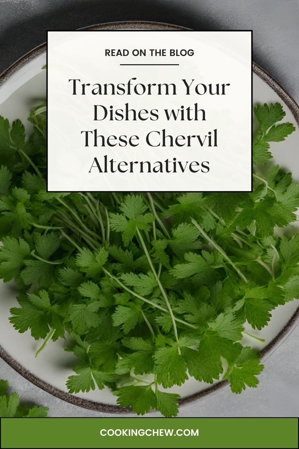 A close-up photo of a white plate with a pile of green, leafy chervil on top. 