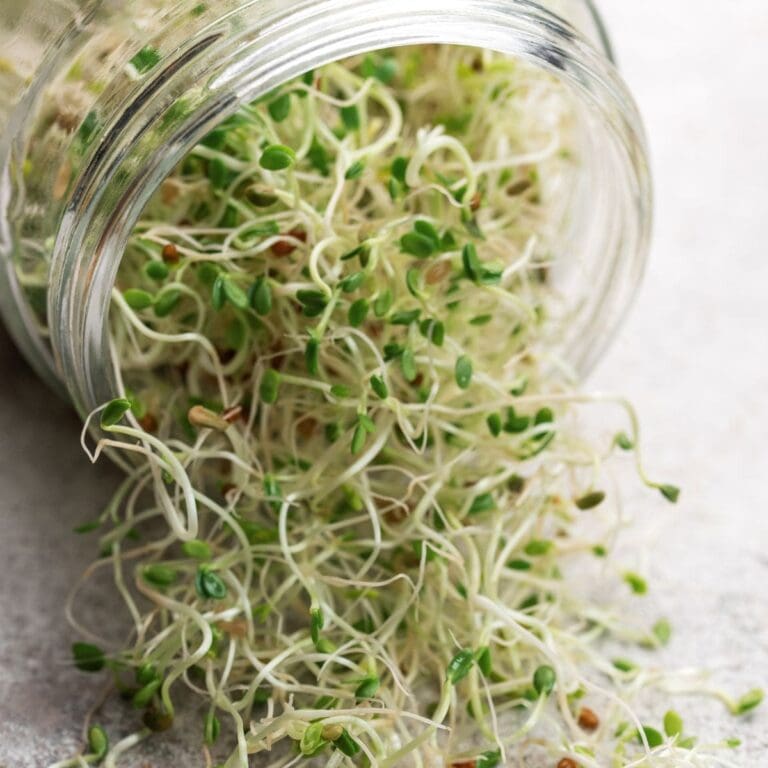 19 Popular Types Of Microgreens (From Arugula To Mizuna!)