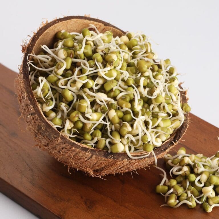 20 Best Types Of Sprouts (And How To Use Them)