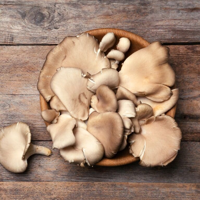 What Are Oyster Mushrooms? FAQ + Tips