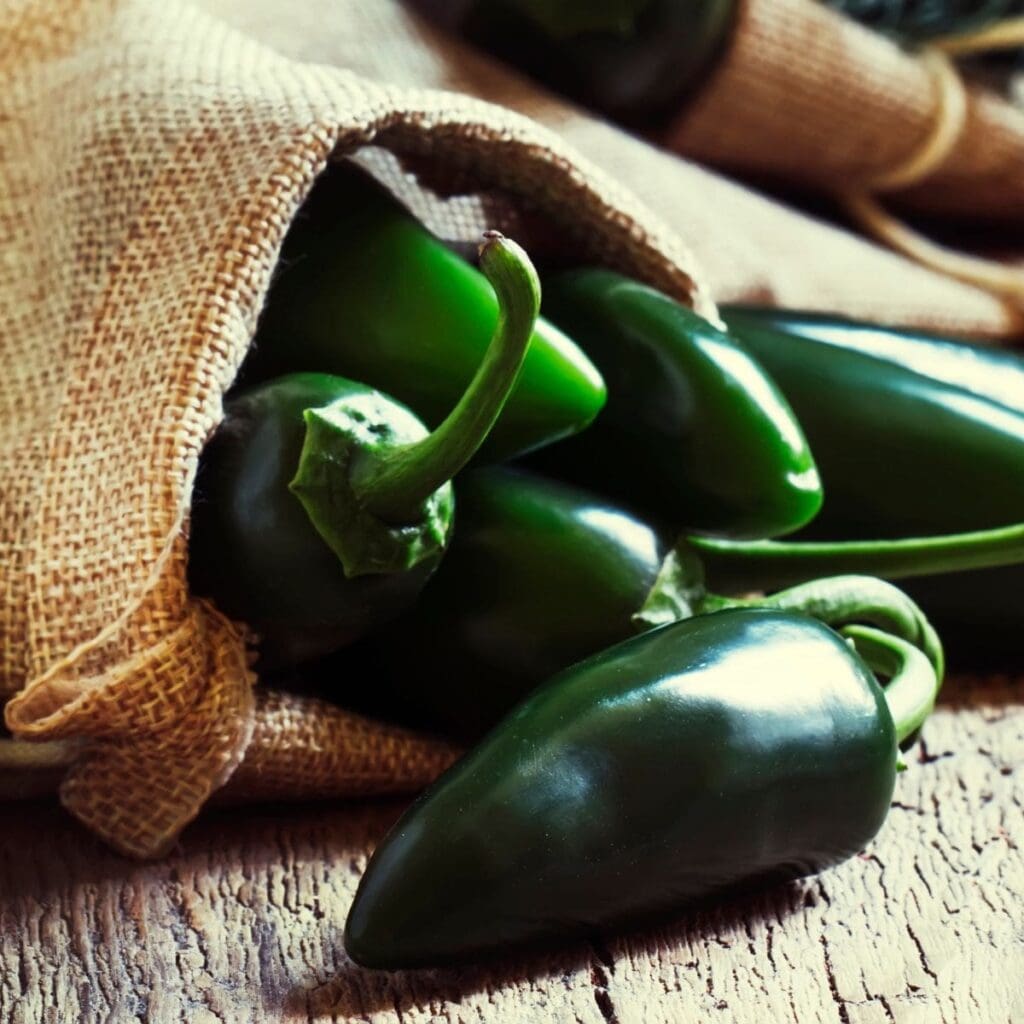 How To Tell If A Jalapeno Is Bad: Don’t Let It Go To Waste If You Don’t Have To