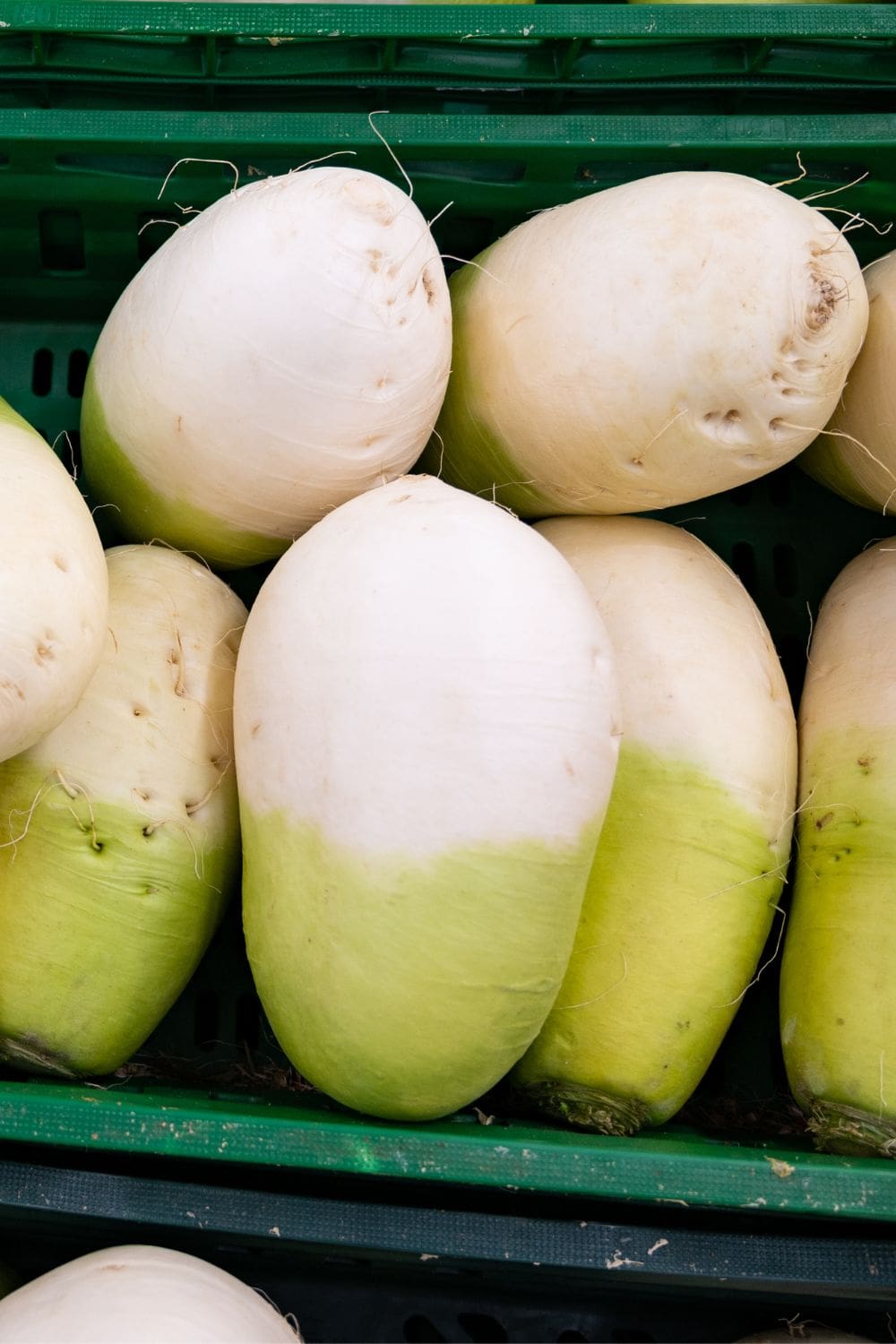 A close-up view of a cluster of korean radishes nestled in a weathered green plastic crate.