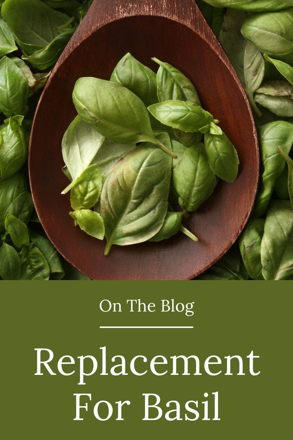 A close-up view of vibrant green basil leaves spilling out of a rustic wooden spoon.