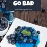 A plate of blue Jello with blueberries on top.