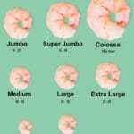 Graduated sizes of cooked shrimp