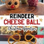 Reindeer cheese ball Christmas appetizer for festive parties