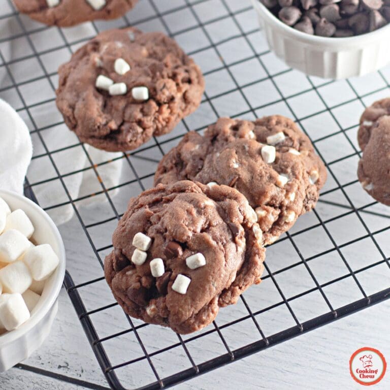 Hot cocoa cookies with chocolate and marshmallow for winter warmth.