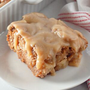A clear, detailed image of a slice of apple dapple cake on a plate.