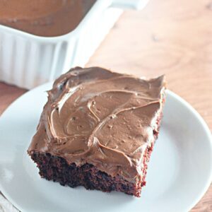 A clear, detailed image of a slice of chocolate crazy cake, suitable for a recipe card.