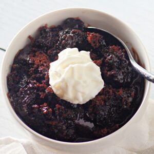A clear, detailed image of a microwave chocolate lava cake in a mug, suitable for a recipe card.